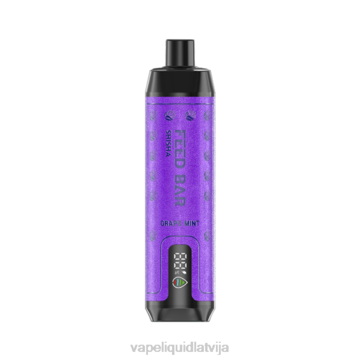 Vape Liquid - Vapsolo SHISHA vienreizējās lietošanas vape vīnogu piparmētra 4T0N118