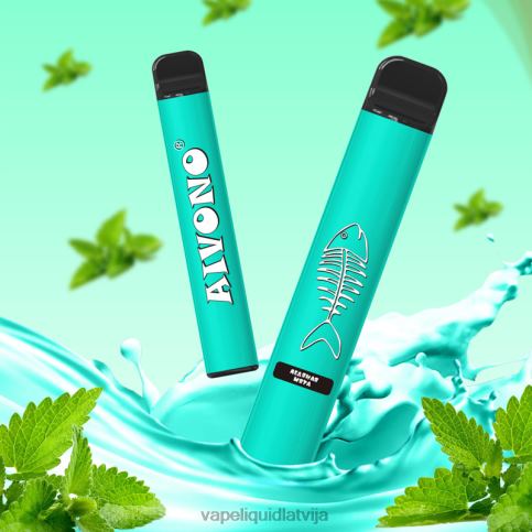 Vape Liquid - forša piparmētra Aivono AIM FISHBONE 600 8VNV4278