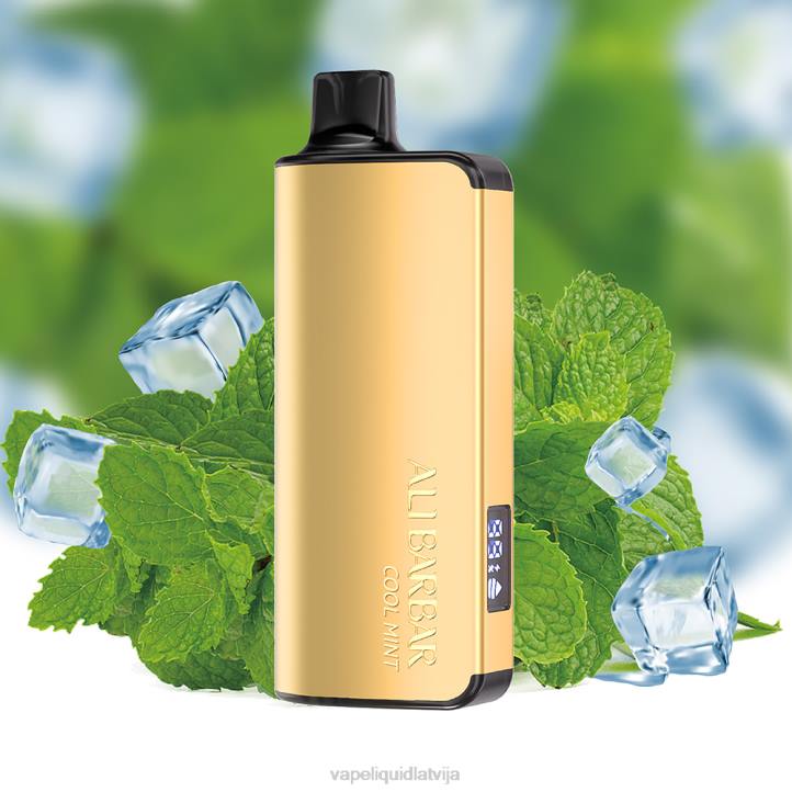 Vape Liquid - Alibarbar Ingot 9000 vienreizējās lietošanas vape forša piparmētra 4T0N18