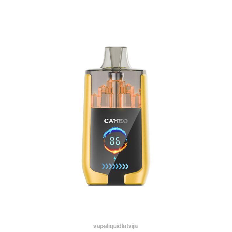 Vape Latvija - mango ledus FT4BL21 LAVIE CAMEO 30000 uzpūtienu