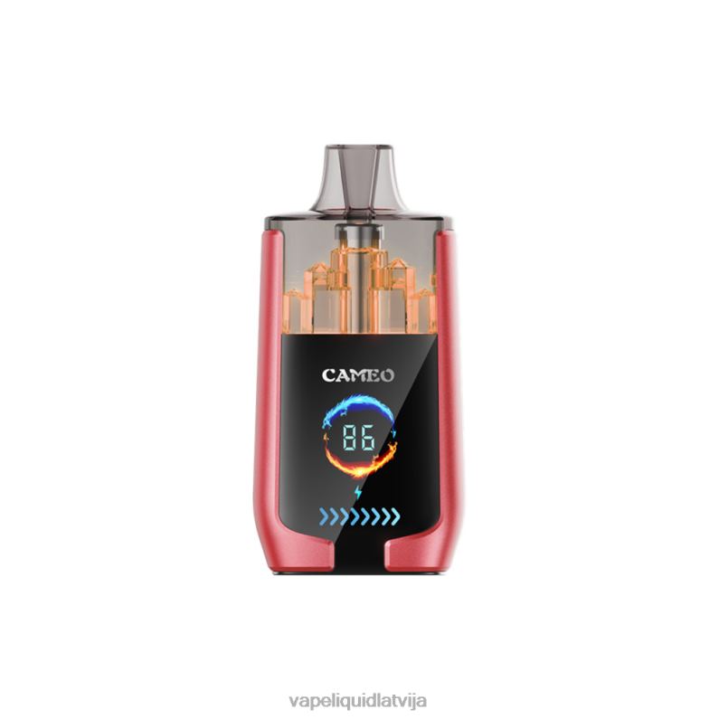 Vape Liquid - arbūzu ledus FT4BL14 LAVIE CAMEO 30000 uzpūtienu