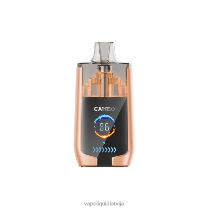 Vape Liquid - ķirsis FT4BL22 LAVIE CAMEO 30000 uzpūtienu