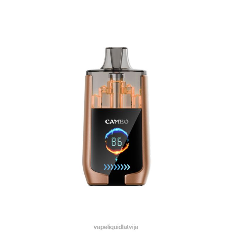 Vape Liquid - kafijas ledus FT4BL18 LAVIE CAMEO 30000 uzpūtienu