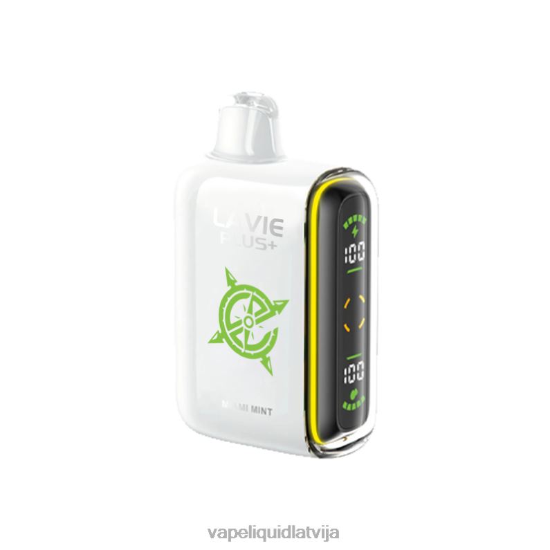 Vape Liquid - maiami piparmētra FT4BL98 LAVIE PLUS 15000 uzpūtienu