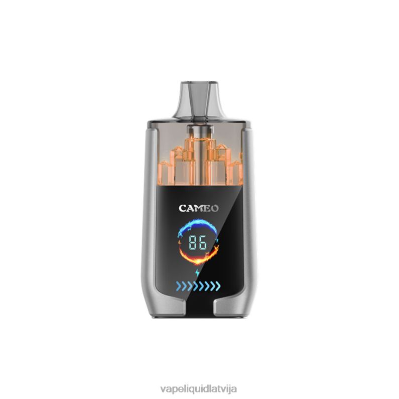 Vape Shop Riga - melleņu ledus FT4BL15 LAVIE CAMEO 30000 uzpūtienu