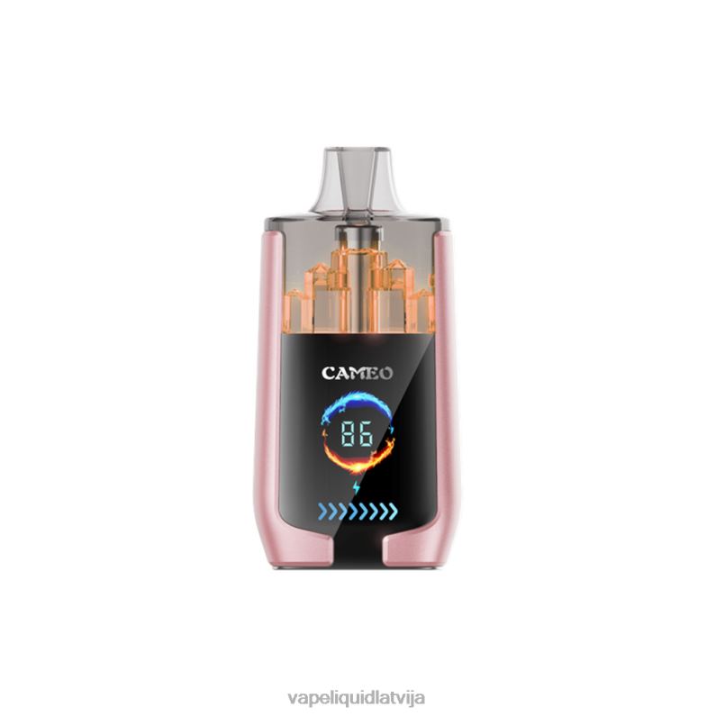 Vape Shop Riga - tropu augļi FT4BL19 LAVIE CAMEO 30000 uzpūtienu