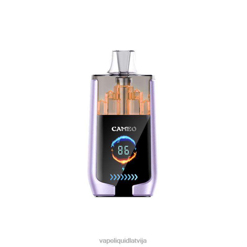 Vape Šķidrumi - vīnogu ledus FT4BL16 LAVIE CAMEO 30000 uzpūtienu